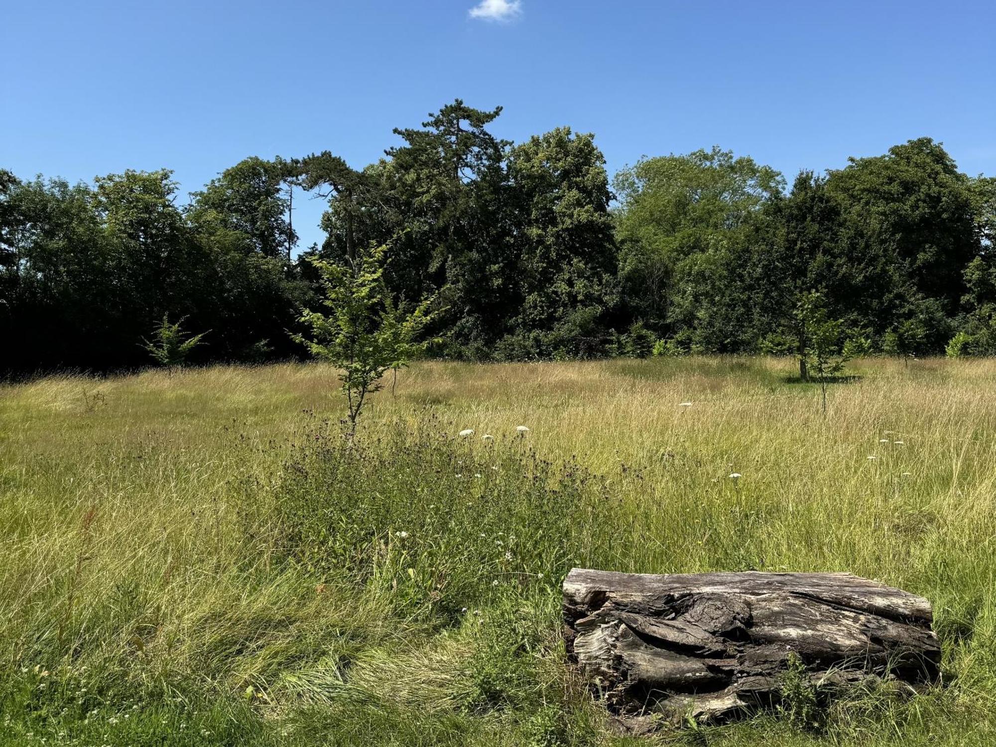 Hookwood Lodge London Gatwick Horley Zewnętrze zdjęcie