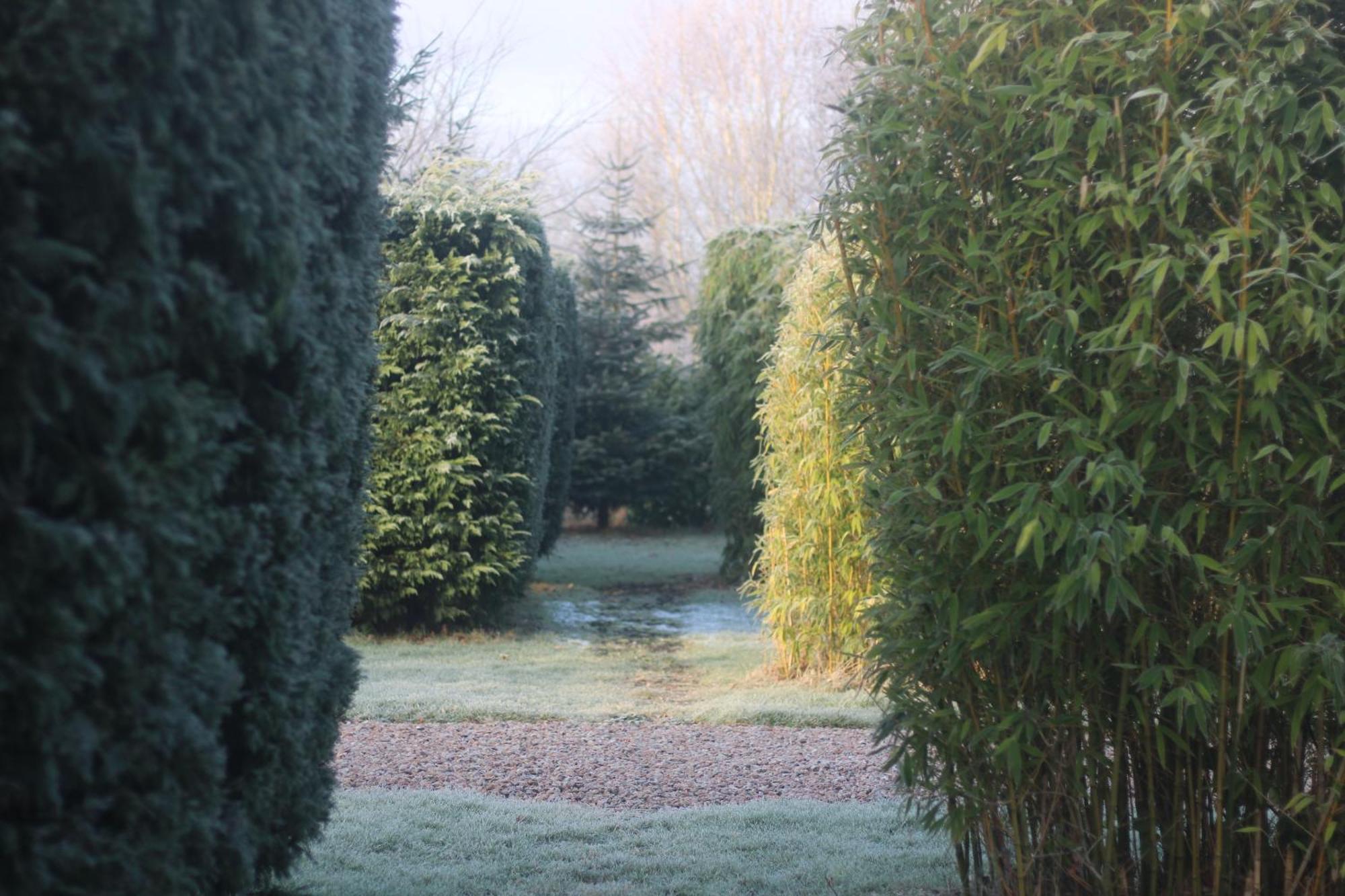 Hookwood Lodge London Gatwick Horley Zewnętrze zdjęcie
